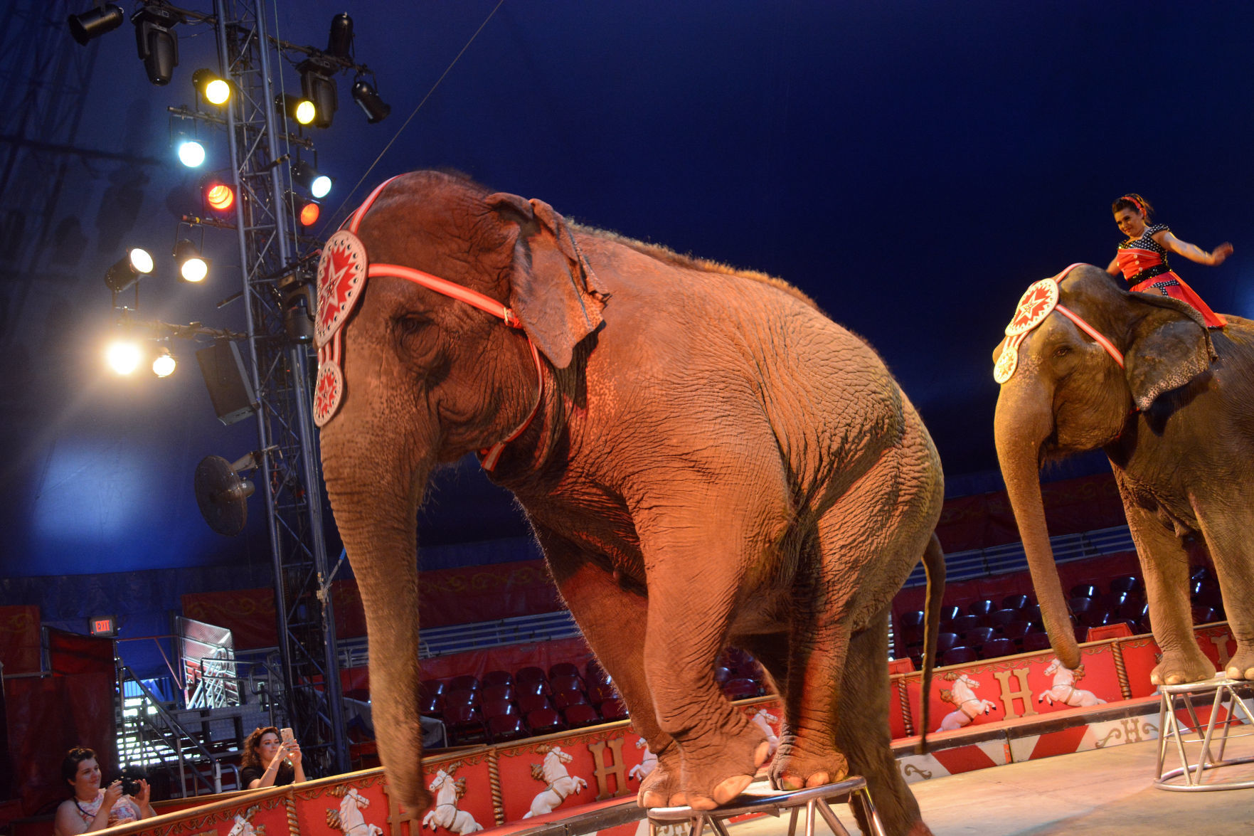 051918-bara-news-circus26